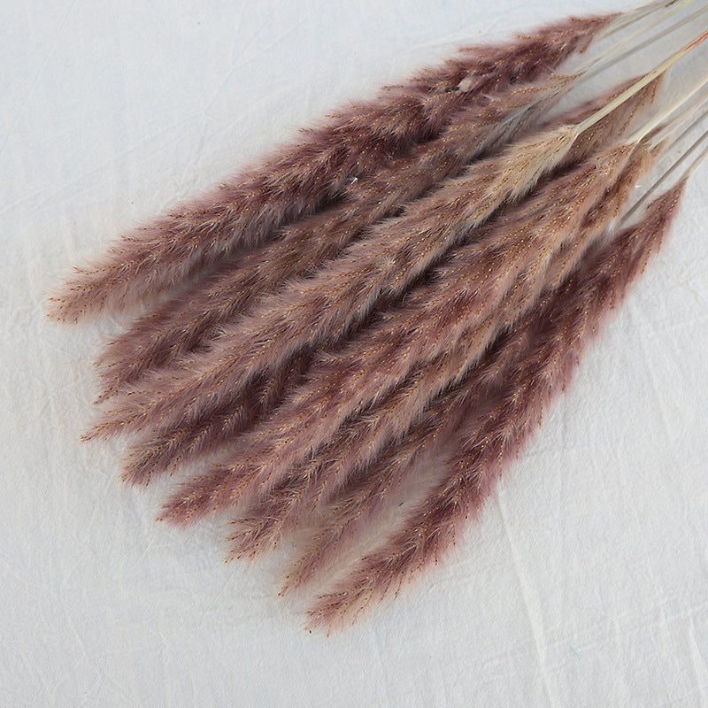 Dried Reed Bouquet