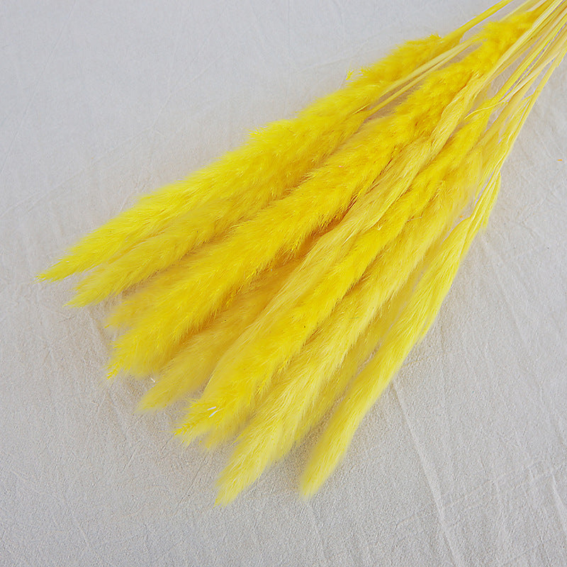 Dried Reed Bouquet