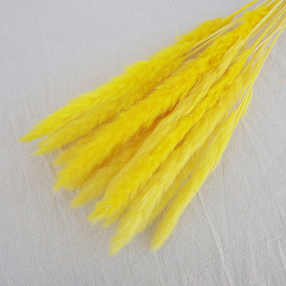 Dried Reed Bouquet