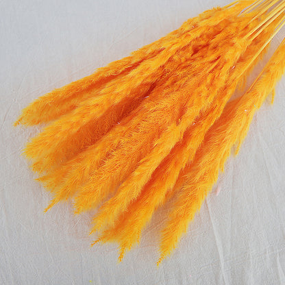 Dried Reed Bouquet