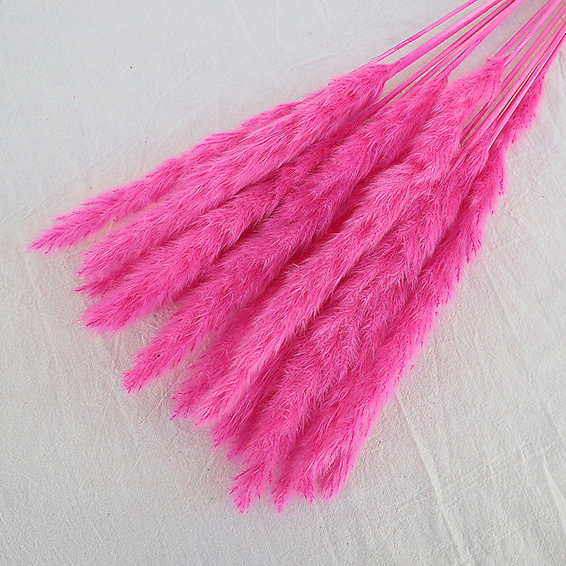 Dried Reed Bouquet