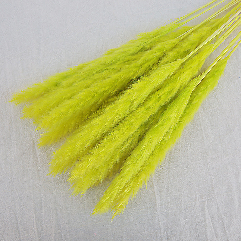 Dried Reed Bouquet