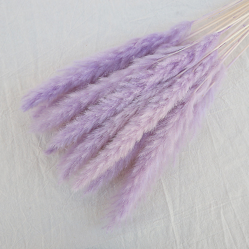 Dried Reed Bouquet