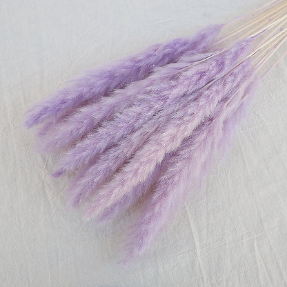 Dried Reed Bouquet