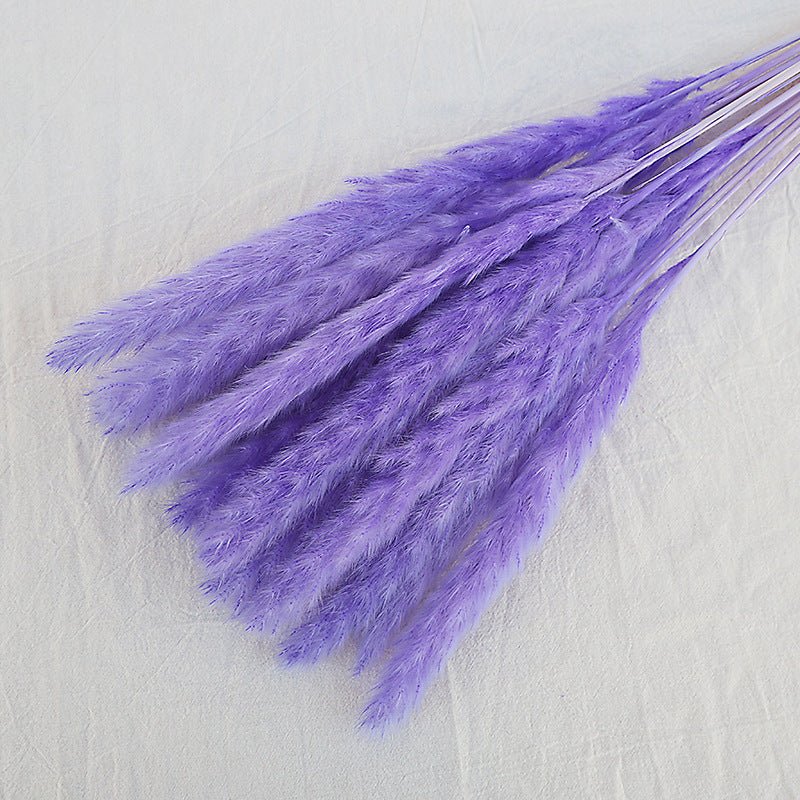 Dried Reed Bouquet