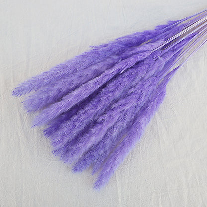 Dried Reed Bouquet