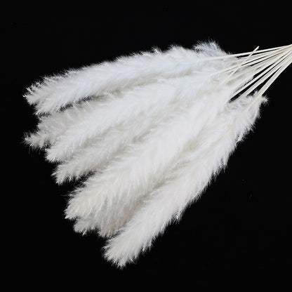 Dried Reed Bouquet