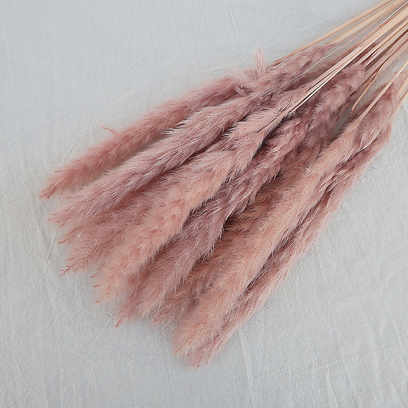 Dried Reed Bouquet