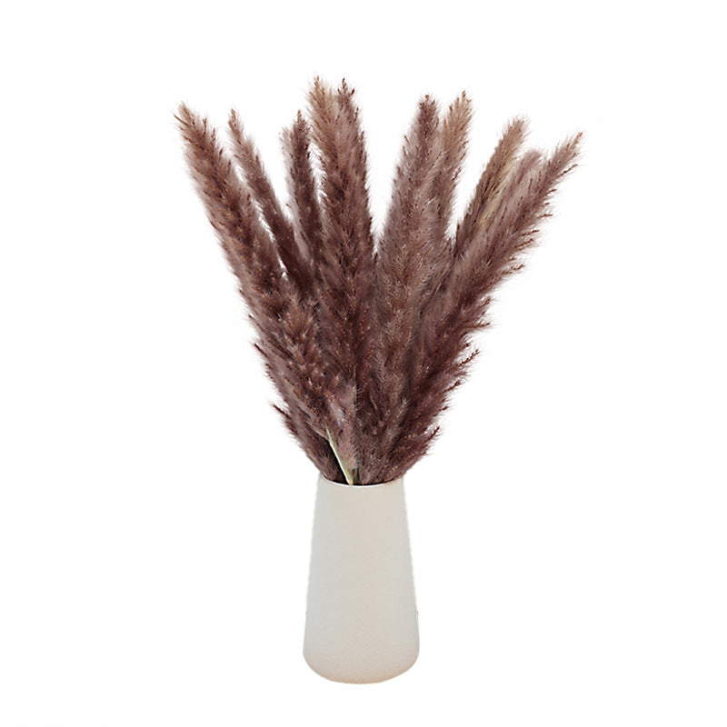 Dried Reed Bouquet