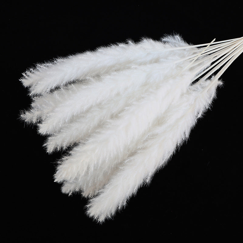 Dried Reed Bouquet