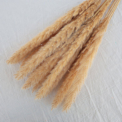 Dried Reed Bouquet