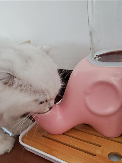 Drinker