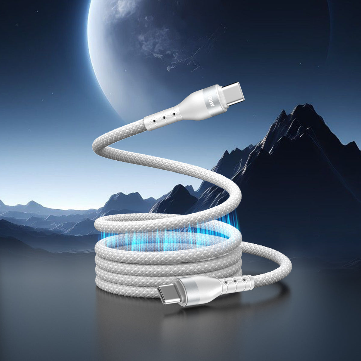 Dual Type C charging cables