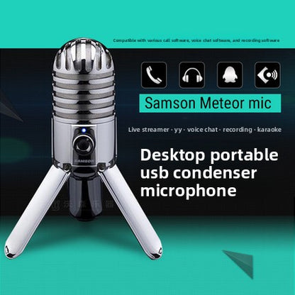 Dubbing microphone