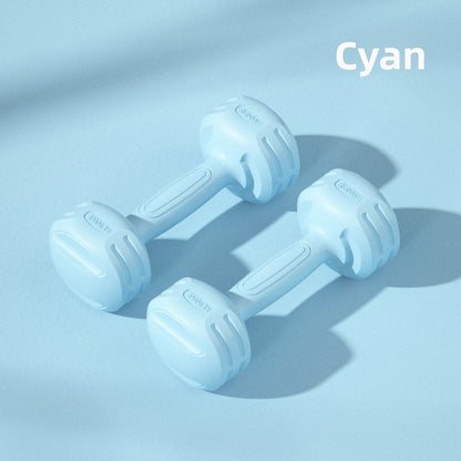 Dumbbell fitness equipment