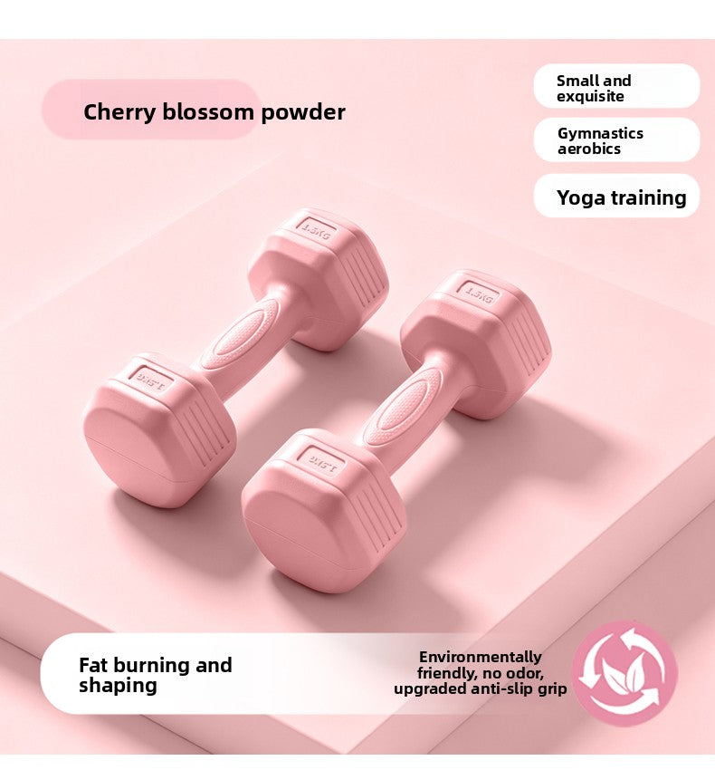 Dumbbells for Women, Home Fitness Equipment, 2kg Pair