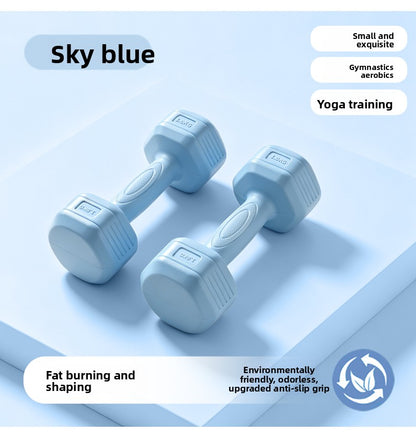 Dumbbells for Women, Home Fitness Equipment, 2kg Pair