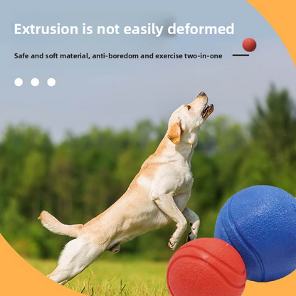 Durable Elastic Chew Ball for Dogs