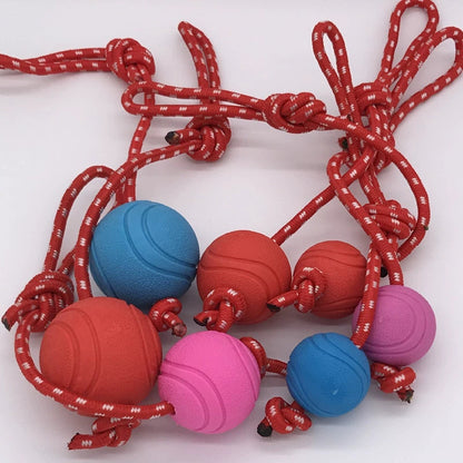 Durable Elastic Chew Ball for Dogs