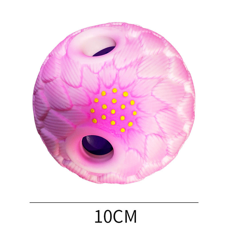 Durable Sound Toy Ball