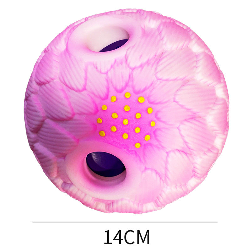 Durable Sound Toy Ball