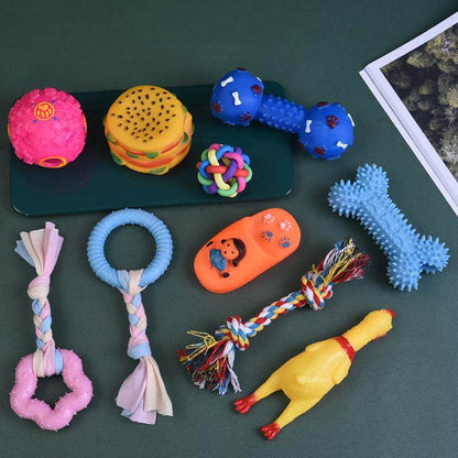 Durable Squeaky Dog Chew Toys Set