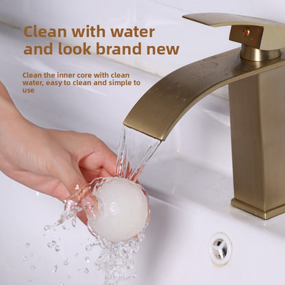Dust removal brush