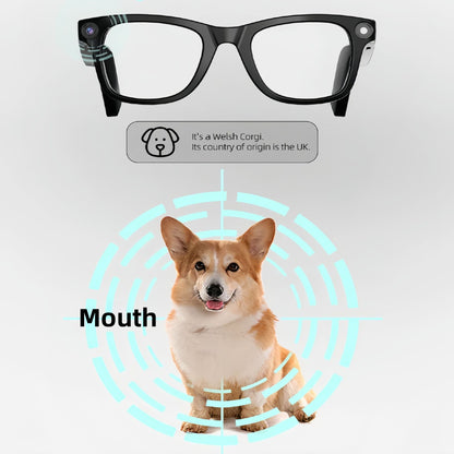 E02 Smart Glasses with Camera AI Translation Bluetooth