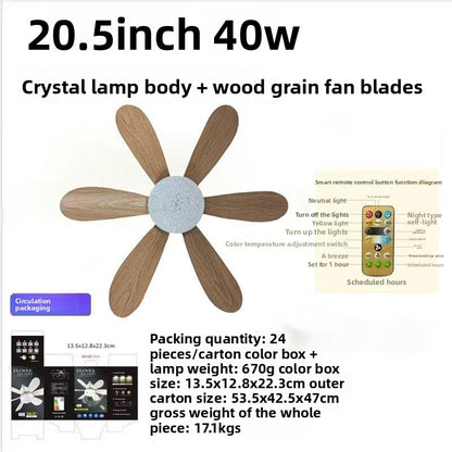 E27 Screw Mount Smart Ceiling Fan with Light
