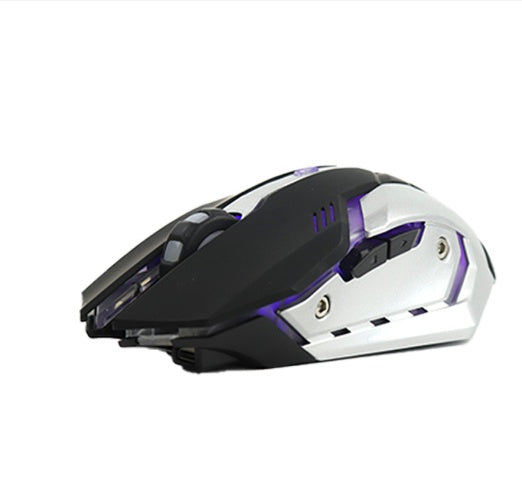 Buy Wireless Gaming Mouse with Ergonomic Design & 1600 DPI Control