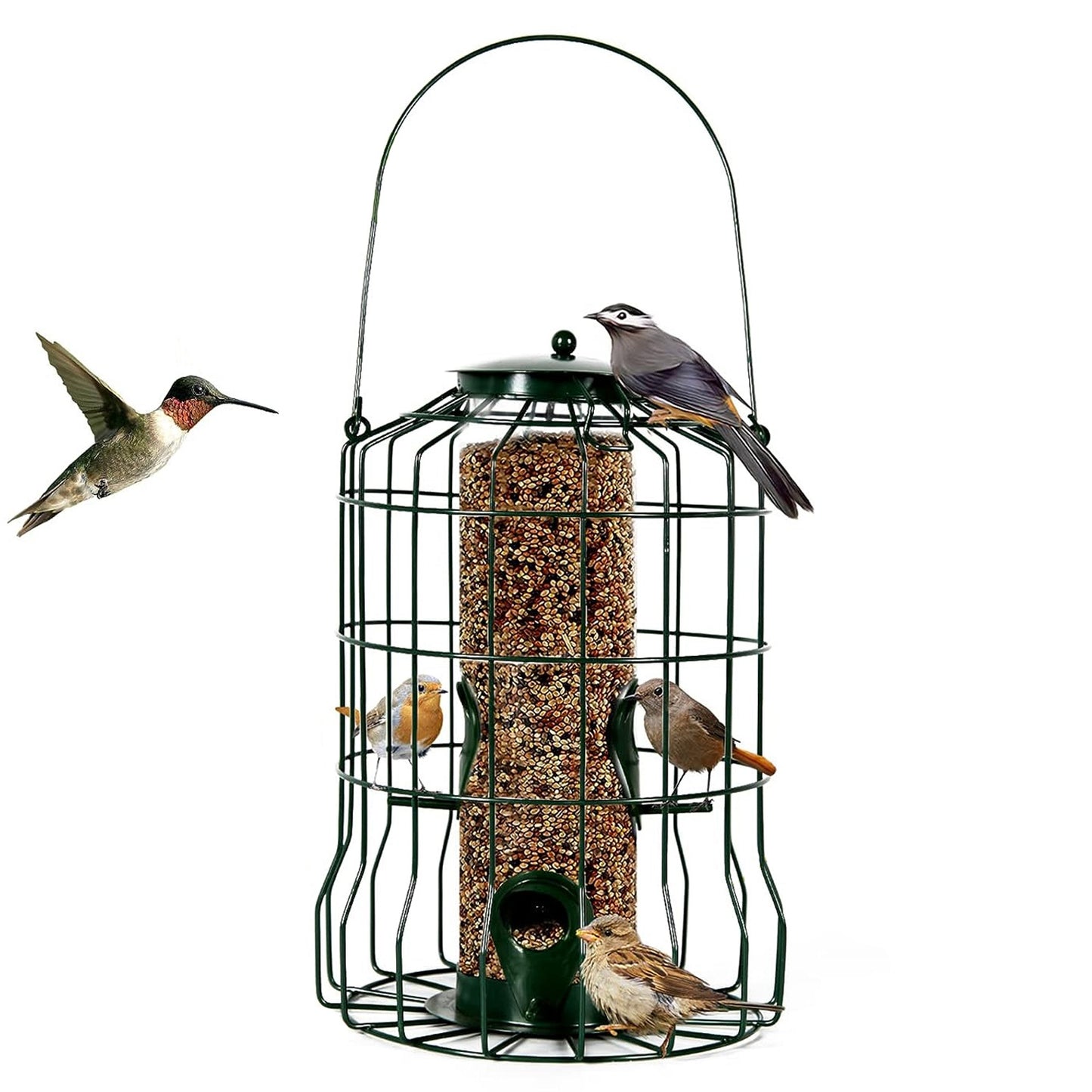 Squirrel-Proof Metal Bird Feeder with 4 Ports for Songbirds