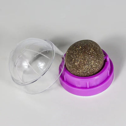 Cat Toys for Daily Interactive Play and Indoor Entertainment