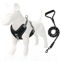 Black Harness + 1x150cm Leash