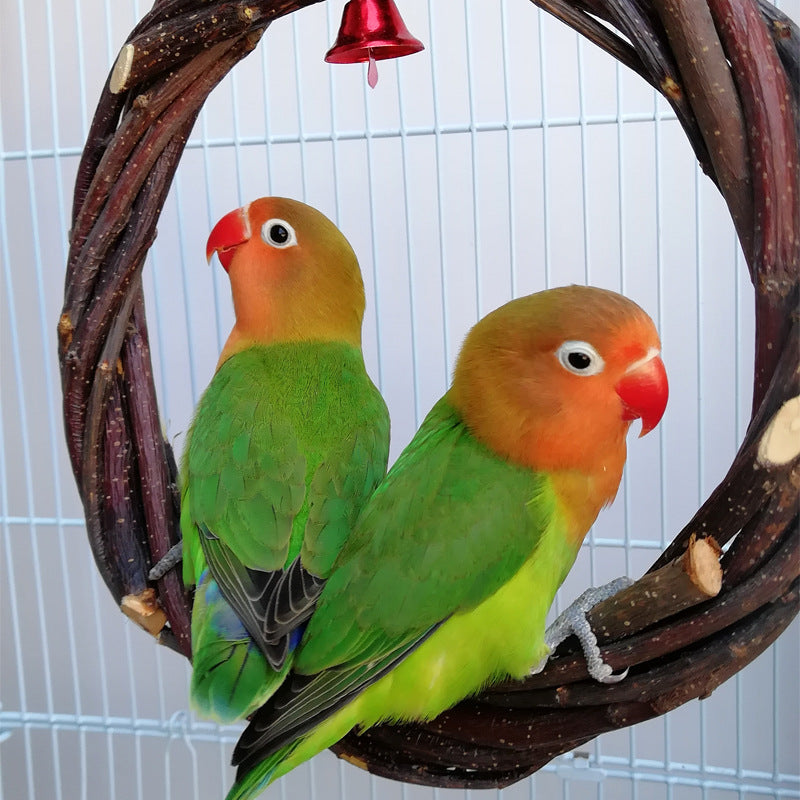 Buy Parrot Standing Frame Rattan Ring Chew Toy Cage Accessory