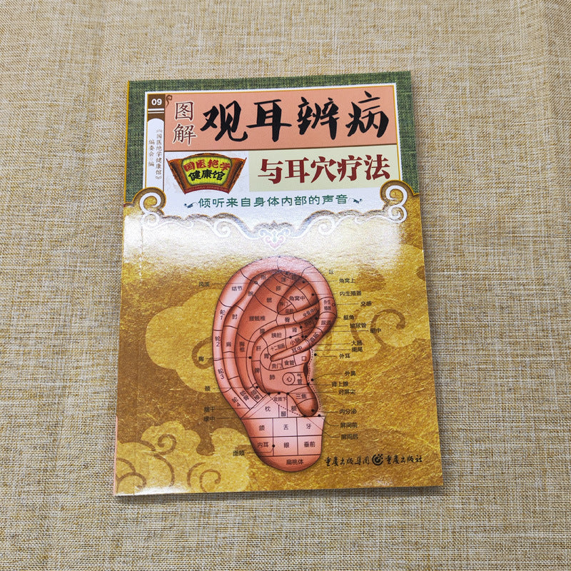 Ear Acupressure Model