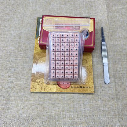 Ear Acupressure Model