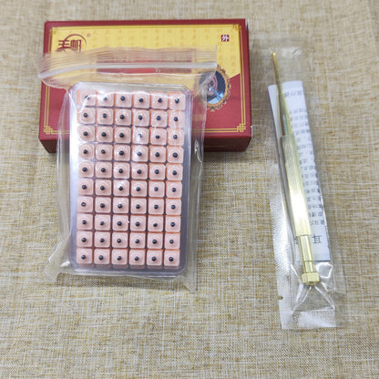 Ear Acupressure Model