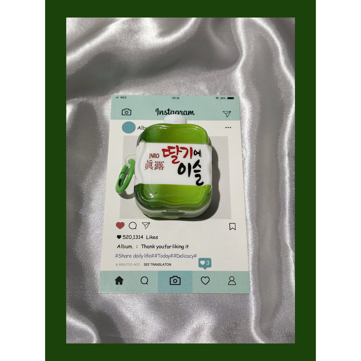 Earphone Case
