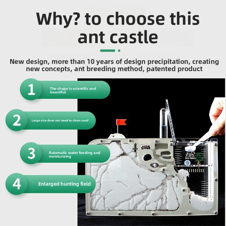 Ecological Ant Workshop toys