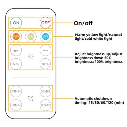 ED Night Light