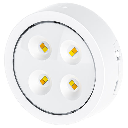 ED Night Light