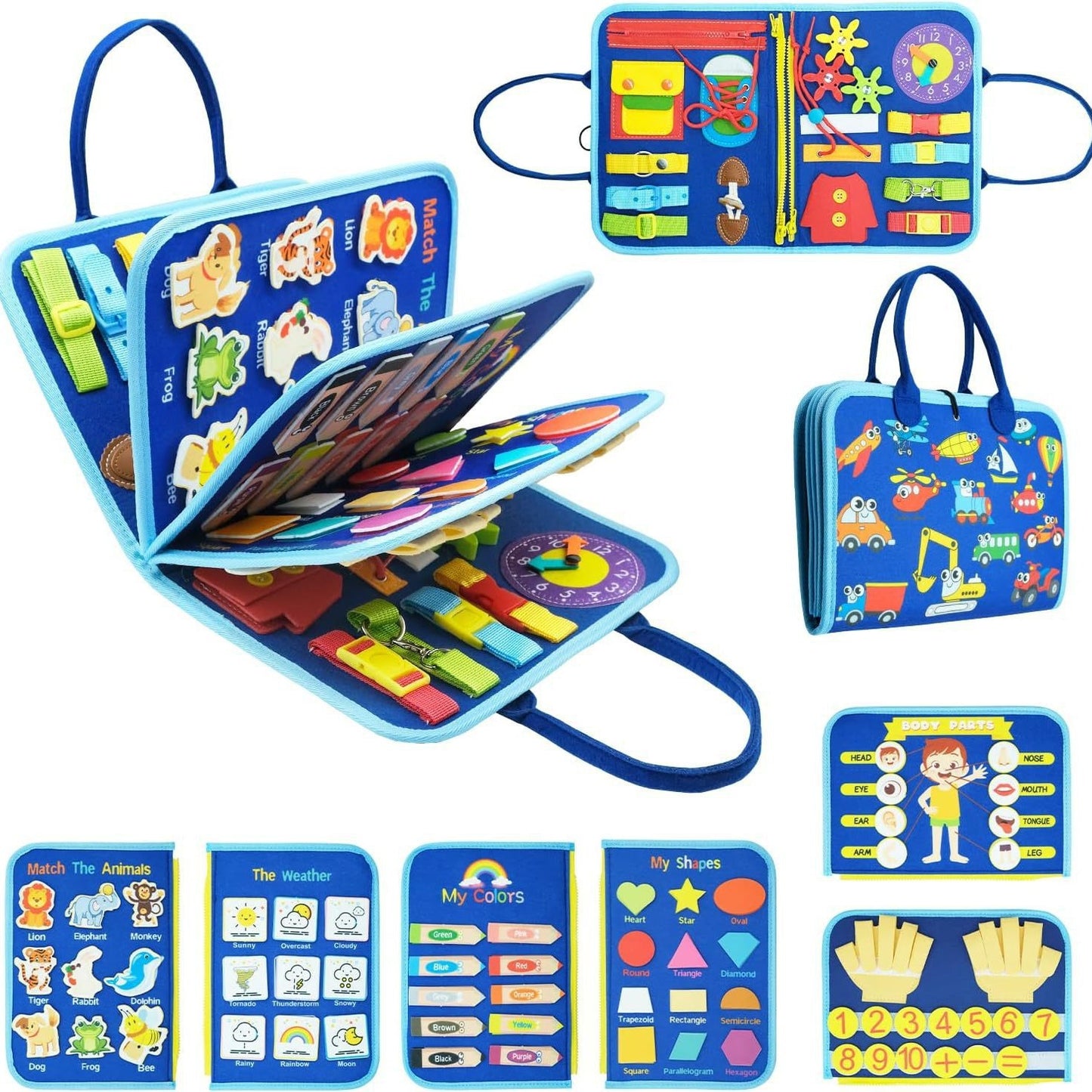 Educational Activity Board