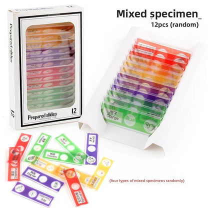 Educational Biological Microscope Toy Kit with Specimen Slices