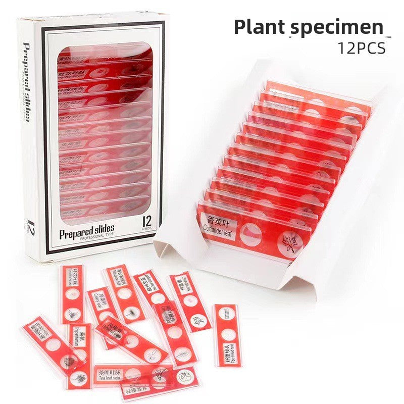 Educational Biological Microscope Toy Kit with Specimen Slices