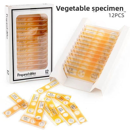 Educational Biological Microscope Toy Kit with Specimen Slices