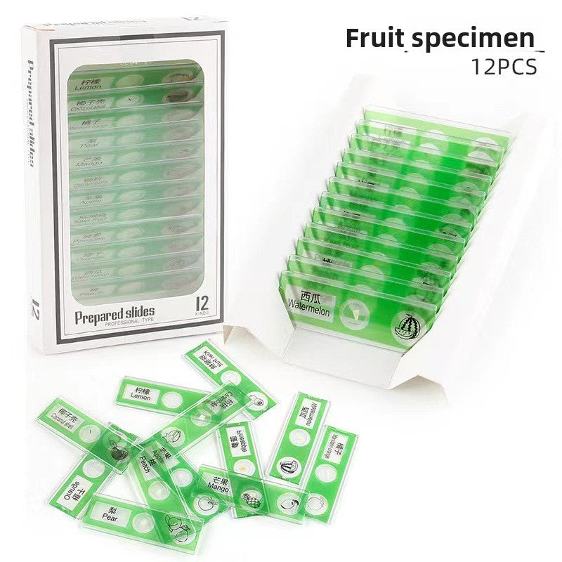 Educational Biological Microscope Toy Kit with Specimen Slices
