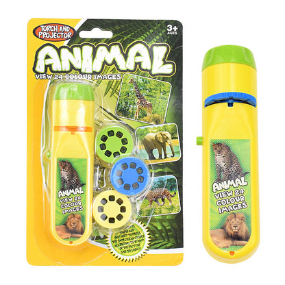 Educational Projection Flashlight Toy