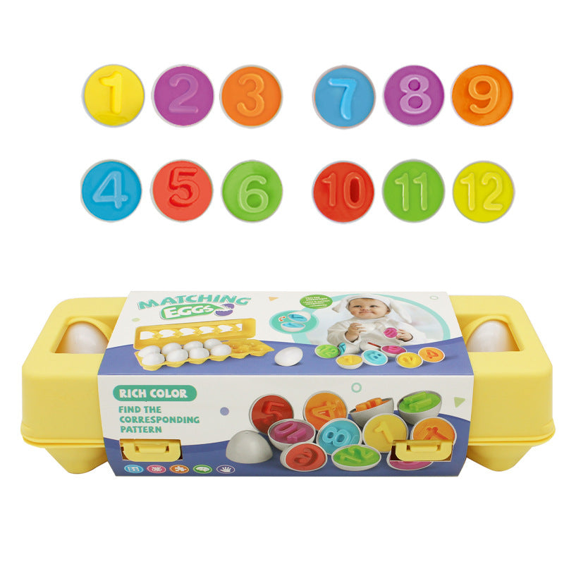 Educational Toy Eggs
