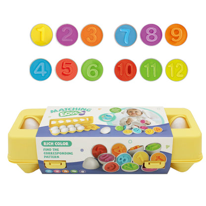 Educational Toy Eggs
