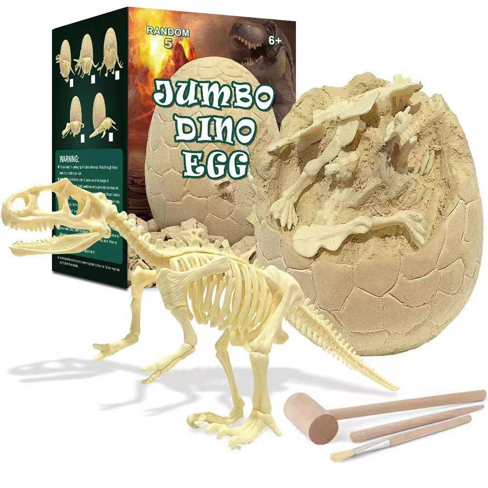 Educational Toy Set